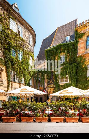 Sommer im Griechenbeisl, einem der ältesten Restaurants in Wien, Österreich Stockfoto