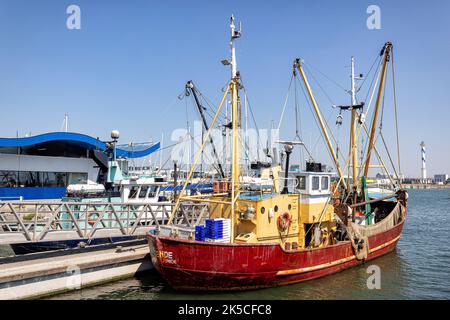 Krabbenschneider im Hafen. Ostende, Flandern, Belgien. Stockfoto