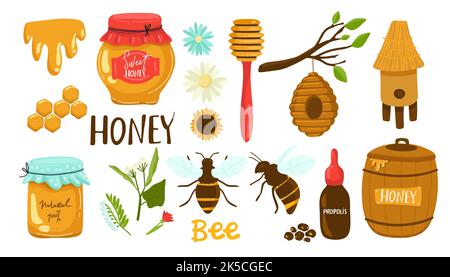 Die Sammlung von niedlichen Biene und Honig und Blume und Blatt in der Packung in flachen Vektor-Stil. Set von Biene für Grafik Stock Vektor