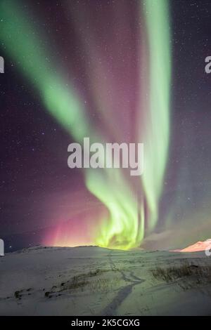 Nordlichter (Aurora Borealis) in Norwegen Stockfoto