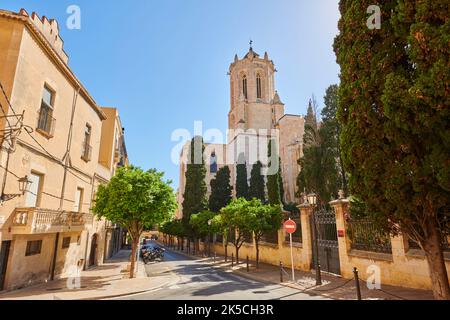 Kathedrale Santa Maria im historischen Zentrum von Tarragona, Katalonien, Spanien, Europa Stockfoto