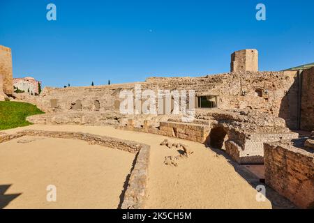 Ruinen des römischen Zirkus 'Circ Romà' im historischen Zentrum von Tarragona, Katalonien, Spanien, Europa Stockfoto