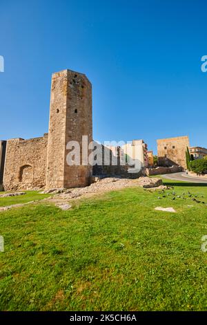 Ruinen des römischen Zirkus 'Circ Romà' im historischen Zentrum von Tarragona, Katalonien, Spanien, Europa Stockfoto