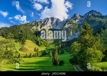 Österreich, Tirol, Unterinntal, Ebbs, Buchberg, Aschinger Alm, Zahmer Kaiser Stockfoto