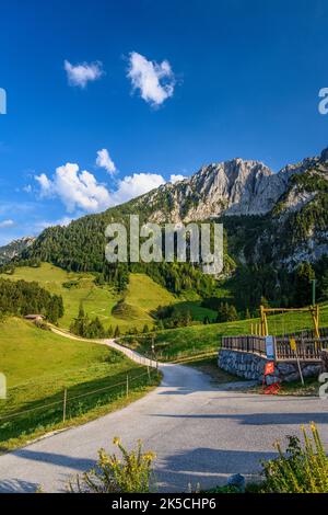 Österreich, Tirol, Unterinntal, Ebbs, Buchberg, Aschinger Alm, Zahmer Kaiser Stockfoto