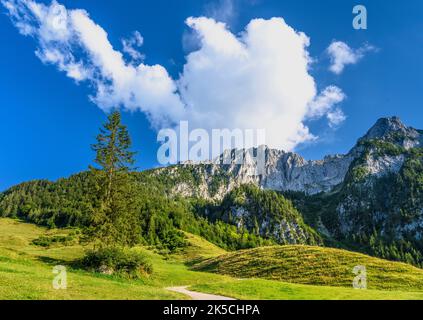 Österreich, Tirol, Unterinntal, Ebbs, Buchberg, Schöberl Alm, Zahmer Kaiser Stockfoto