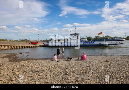 Duisburg, Nordrhein-Westfalen, Deutschland - trockenes Flussbett im Rhein bei der Fähranlegestelle Walsum, Rheinfähre Walsum-Orsoy. Nach einer langen Dürre sinkt der Rheinspiegel weiter. Frachter können den Rhein wegen des Tiefzufes nur leicht befahren. Frachter parken wegen des niedrigen Wasserstials vor der Hafeneinfahrt Duisburg. Die Menschen laufen über das trockene, steinige Flussufer. Stockfoto