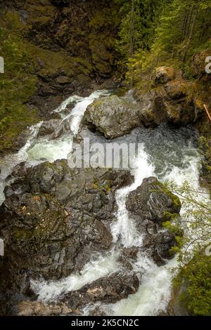 WA22154-00...WASHINGTON - Blick über den Wallace River an der Spitze der Upper Wallace Falls im Wallace Falls State Park. Stockfoto