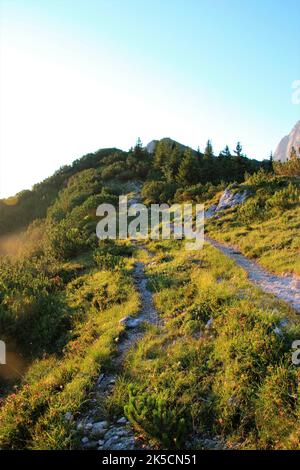 Wanderung zum Wörner Sattel, Karwendelgebirge, Wanderweg, Klettern, Natur, Berge, Sonne, Mittenwald, Oberbayern, Alpenwelt Karwendel, Deutschland, Sonnenaufgang Stockfoto