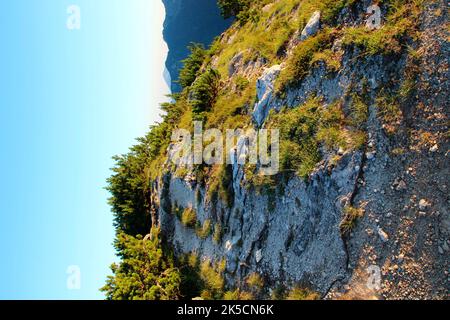 Wanderung zum Wörner Sattel, Karwendelgebirge, Wanderweg, Klettern, Natur, Berge, Sonne, Mittenwald, Oberbayern, Alpenwelt Karwendel, Deutschland, Sonnenaufgang Stockfoto