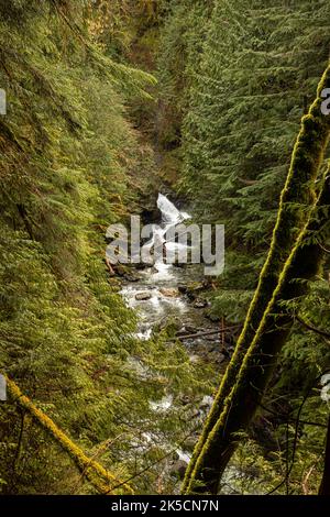 WA22156-00...WASHINGTON - der Wallace River am Fuße der Upper Wallace Falls im Wallace Falls State Park. Stockfoto