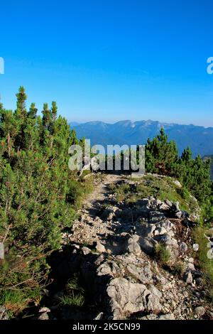 Wanderung zum Wörner Sattel, Karwendelgebirge, im Hintergrund Estergebirge, Panorama, Natur, Berge, Sonne, Mittenwald, Oberbayern, Alpenwelt Karwendel, Deutschland Stockfoto