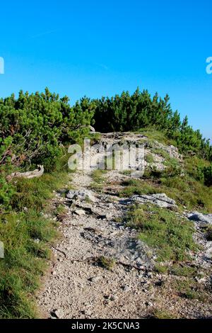 Wanderung zum Wörner Sattel, Karwendelgebirge, Natur, Berge, Sonne, Pfad, Mittenwald, Oberbayern, Alpenwelt Karwendel, Deutschland Stockfoto