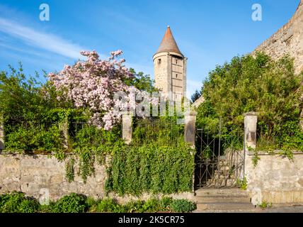 Deutschland, Bayern, Dinkelsbühl, der Salwartenturm, Wachturm. Stockfoto