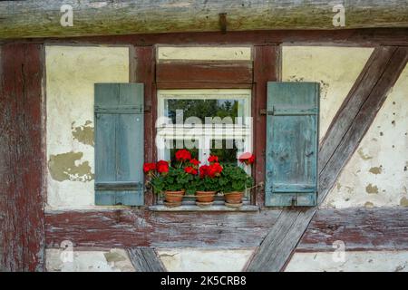 Deutschland, Bayern, Bad Windsheim, altes Fenster mit Blumentöpfen. Stockfoto