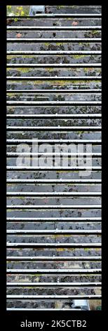 Hausdach, dreckig, Dachrinne, Detail Stockfoto