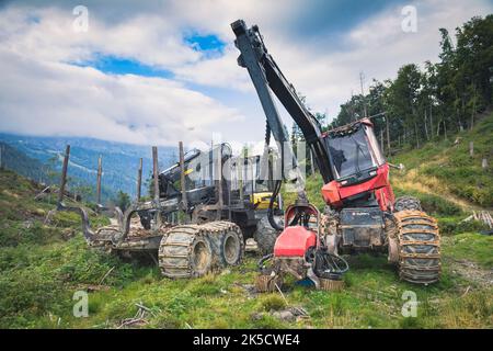 Italien, Venetien, Provinz Belluno, Dolomiten. Harvester und Forwarder Forstfahrzeug in einem Wald von dem Sturm Vaia getroffen Stockfoto