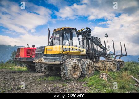 Italien, Venetien, Provinz Belluno, Dolomiten. Harvester und Forwarder Forstfahrzeug in einem Wald von dem Sturm Vaia getroffen Stockfoto