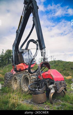 Italien, Venetien, Provinz Belluno, Dolomiten. Harvester und Forwarder Forstfahrzeug in einem Wald von dem Sturm Vaia getroffen Stockfoto