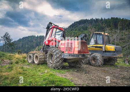 Italien, Venetien, Provinz Belluno, Dolomiten. Harvester und Forwarder Forstfahrzeug in einem Wald von dem Sturm Vaia getroffen Stockfoto