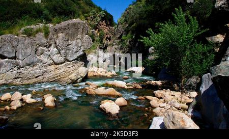 Italien, Sizilien, Nationalpark Madonie, Bach, Felsen, Steine, Bäume, Schlucht Stockfoto