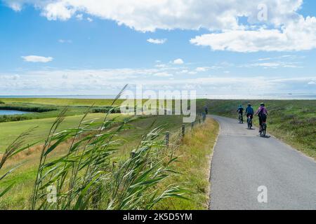 Niederlande, Texel, Ostküste, Deich, Radweg, Radfahrer Stockfoto