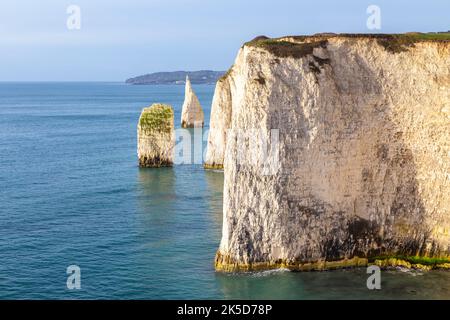 Blick auf den Felsen von Pinnacles. Old Harry Rocks, Handfast Point, Isle of Purbeck, Jurassic Coast, Dorset, England, Vereinigtes Königreich. Stockfoto