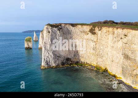 Blick auf den Felsen von Pinnacles. Old Harry Rocks, Handfast Point, Isle of Purbeck, Jurassic Coast, Dorset, England, Vereinigtes Königreich. Stockfoto