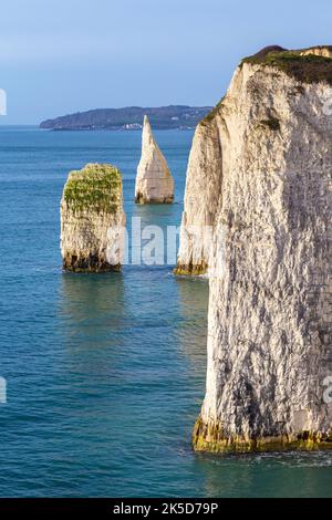 Blick auf den Felsen von Pinnacles. Old Harry Rocks, Handfast Point, Isle of Purbeck, Jurassic Coast, Dorset, England, Vereinigtes Königreich. Stockfoto