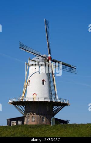 Windmühle De Koe, Veere, Walcheren, Zeeland, Niederlande Stockfoto