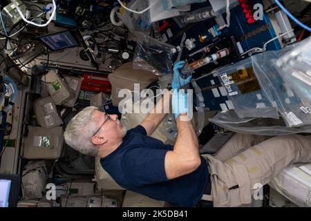 Der NASA-Astronaut Mark Vande Hei betreibt auf der Internationalen Raumstation Plant Habitat-05 Raumbotanik und untersucht, wie sich Schwerelosigkeit auf das Wachstum und die Genetik von Baumwollpflanzen auswirkt. Stockfoto