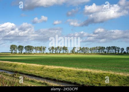 Landschaft in den Fens, Kanal, Feld und Bäume an einem Herbsttag, Lincolnshire, East Midlands, England Stockfoto