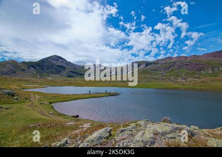 Steinböcke anayet von Aragones Pyriness in Spanien Stockfoto