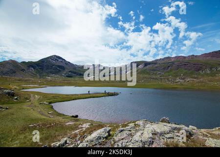 Steinböcke anayet von Aragones Pyriness in Spanien Stockfoto