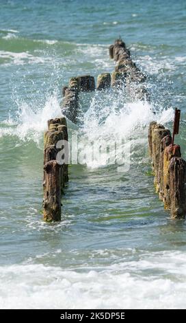 Hölzerner Wellenbrecher und raues Meer. Wellen auf See stürzen gegen die hölzernen Säulen des Wellenbrechers. Stockfoto