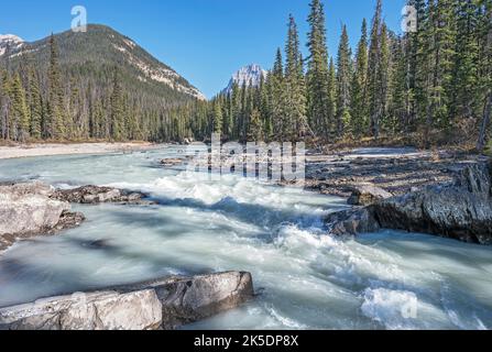 Stromschnellen am Kicking Horse River im Yoho National Park in British Columbia Stockfoto