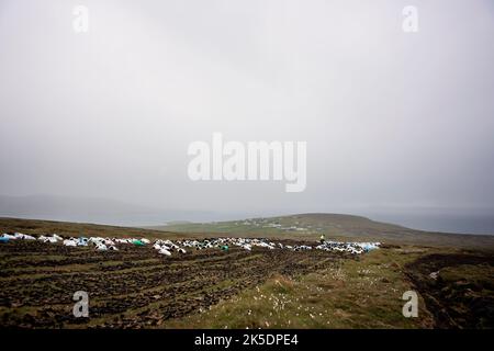 Ein Mann dreht sich auf den Rasen. Es gibt bereits eine Menge Plastiktüten gefüllt mit Rasen, bereit, abgeholt werden. Stockfoto