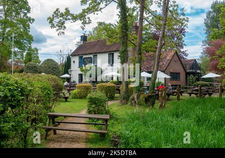 Das Bush Inn Pub liegt im South Downs National Park, am Fluss Itchen in Ovington in der Nähe von New Alresford in Hampshire, England, Großbritannien Stockfoto