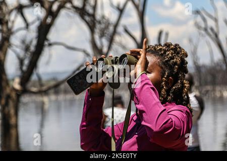 Ein Pressemitglied nutzt während einer Feldveranstaltung ein Fernglas im Lake Nakuru National Park. Media for Science Health and Agriculture (MESHA), eine kenianische Medienorganisation, organisierte eine Faktenfindungs-Mission für Journalisten, um aus erster Hand die Auswirkungen des Klimawandels auf die biologische Vielfalt im Lake Nakuru National Park zu verstehen. Stockfoto