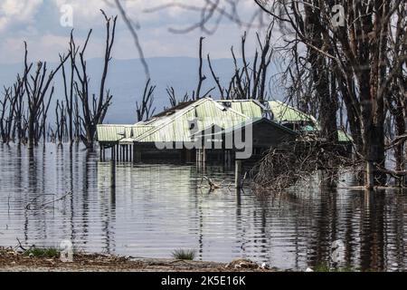 Nakuru, Kenia. 05. Oktober 2022. Blick auf ein untergetaucht Bürogebäude am Lake Nakuru National Park. Der Wasseraufstieg im Lake Nakuru hat die Biodiversität im Park beeinflusst, da sich die Wasserchemie verändert. Media for Science Health and Agriculture (MESHA), eine kenianische Medienorganisation, organisierte eine Faktenfindungs-Mission für Journalisten, um aus erster Hand die Auswirkungen des Klimawandels auf die biologische Vielfalt im Lake Nakuru National Park zu verstehen. (Foto von James Wakibia/SOPA Images/Sipa USA) Quelle: SIPA USA/Alamy Live News Stockfoto