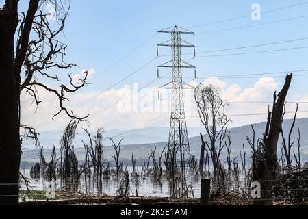 Nakuru, Kenia. 05. Oktober 2022. Blick auf eine untergetauchte Hochspannungsleitung am Lake Nakuru. Der Wasseraufstieg im Lake Nakuru hat die Biodiversität im Park beeinflusst, da sich die Wasserchemie verändert. Media for Science Health and Agriculture (MESHA), eine kenianische Medienorganisation, organisierte eine Faktenfindungs-Mission für Journalisten, um aus erster Hand die Auswirkungen des Klimawandels auf die biologische Vielfalt im Lake Nakuru National Park zu verstehen. (Foto von James Wakibia/SOPA Images/Sipa USA) Quelle: SIPA USA/Alamy Live News Stockfoto