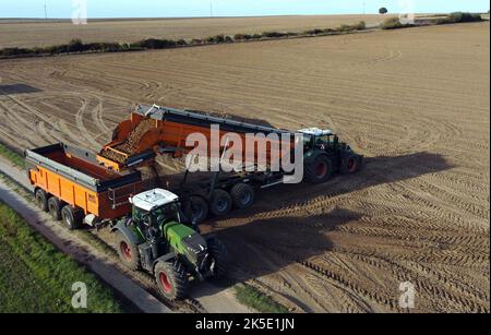 Lincent, Belgien. 07. Oktober 2022. Luftdrohnenbild zeigt , die Kartoffelernte in Racour, Lincent, Freitag, 07. Oktober 2022. BELGA FOTO ERIC LALMAND Kredit: Belga Nachrichtenagentur/Alamy Live News Stockfoto