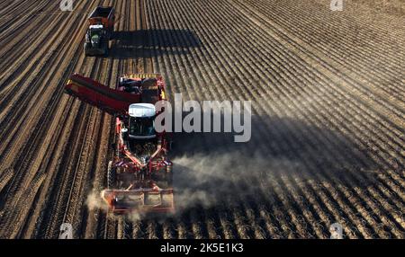 Lincent, Belgien. 07. Oktober 2022. Luftdrohnenbild zeigt , die Kartoffelernte in Racour, Lincent, Freitag, 07. Oktober 2022. BELGA FOTO ERIC LALMAND Kredit: Belga Nachrichtenagentur/Alamy Live News Stockfoto