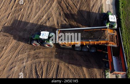 Lincent, Belgien. 07. Oktober 2022. Luftdrohnenbild zeigt , die Kartoffelernte in Racour, Lincent, Freitag, 07. Oktober 2022. BELGA FOTO ERIC LALMAND Kredit: Belga Nachrichtenagentur/Alamy Live News Stockfoto