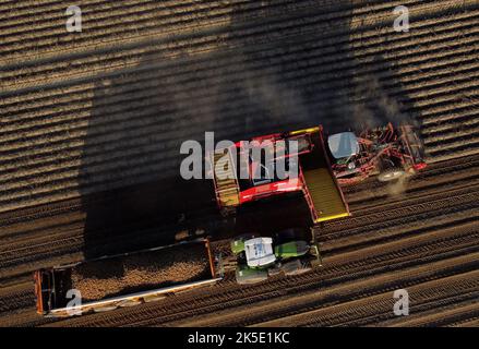 Lincent, Belgien. 07. Oktober 2022. Luftdrohnenbild zeigt , die Kartoffelernte in Racour, Lincent, Freitag, 07. Oktober 2022. BELGA FOTO ERIC LALMAND Kredit: Belga Nachrichtenagentur/Alamy Live News Stockfoto