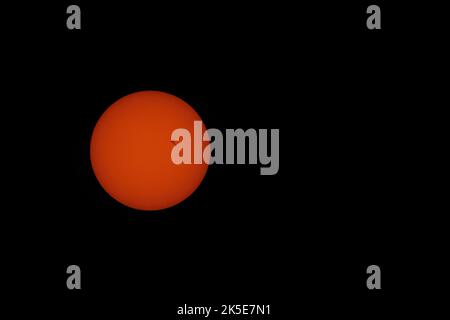 Sonnenflecken an einer orangefarbenen Sonne. Einer ist groß, der Rest ist kleiner. Turbulenzen sind auf der Sonnenoberfläche sichtbar, das ist kein Lärm. Stockfoto