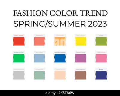Fashion Color Trend Frühjahr - Sommer 2023. Trendige Farbpalette. Pinselstriche der Farbe mit Namensfeldern. Vektorvorlage lässt sich leicht bearbeiten Stock Vektor