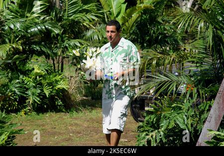 ADAM SANDLER, 50 erste Dates, 2004 Stockfoto