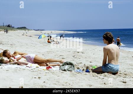 ELLE FANNING, Kim Basinger, Jon Foster, DIE TÜR IM ERDGESCHOSS, 2004 Stockfoto