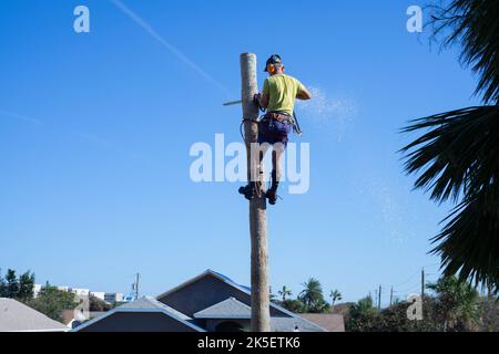 Ein Baumpfer schneidet in Florida nach dem US-Bundesstaat Ian einen beschädigten Baum ab. Stockfoto